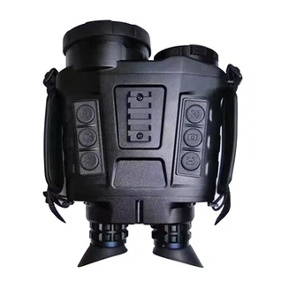 Terminio vaizdo sintezės žiūronai